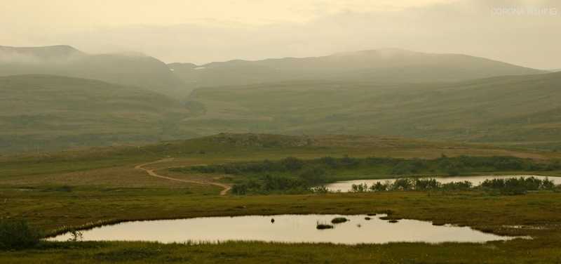 Tam gdzie zaczynają się strumienie.